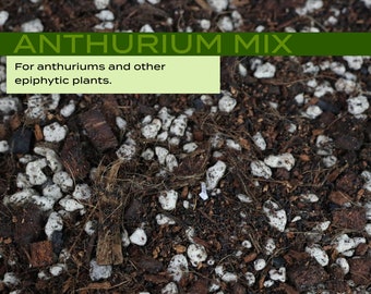 Anthurium Potting Mix - For Anthuriums and Other Epiphytes