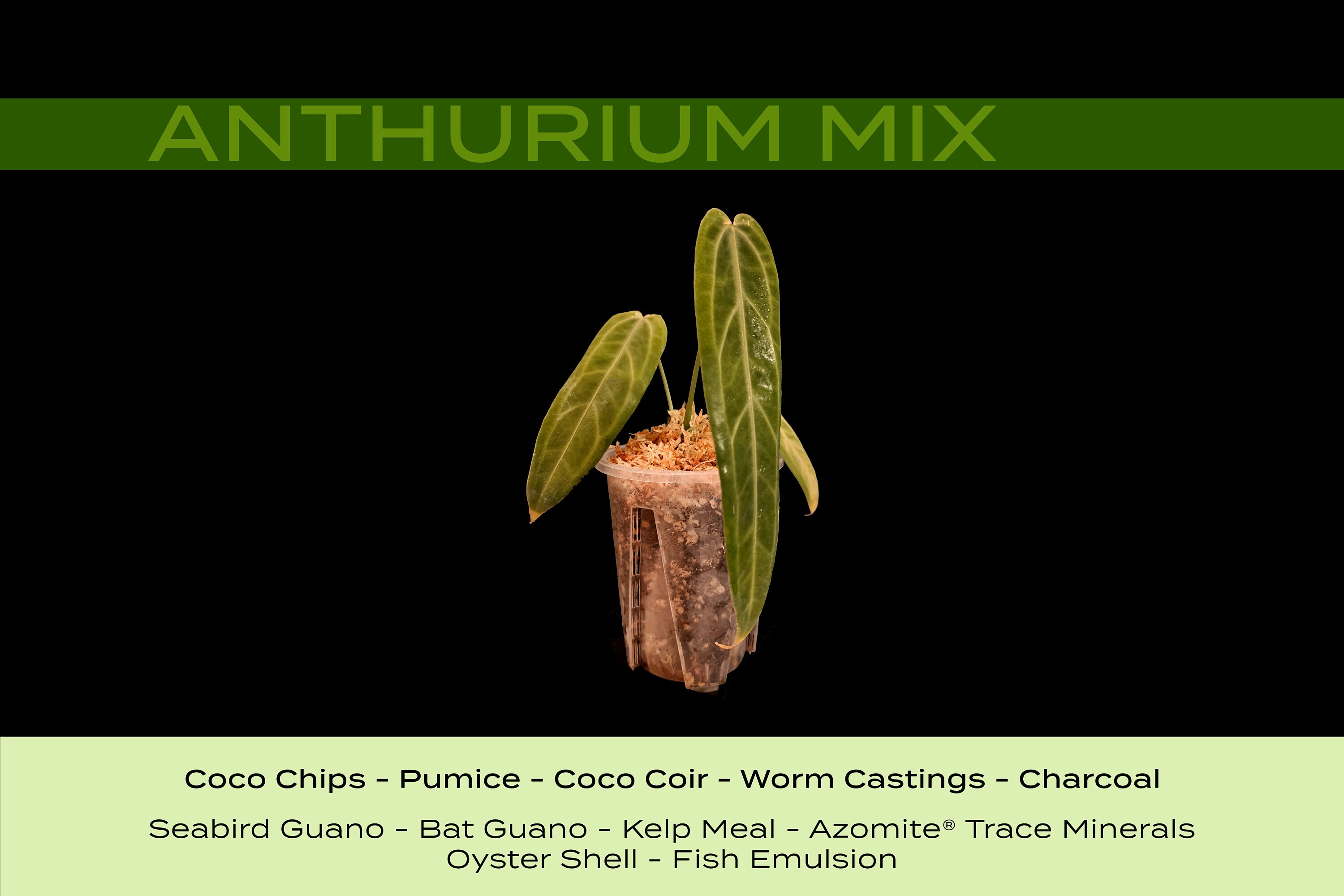 Anthurium Potting Mix for Anthuriums and Other Epiphytes Etsy