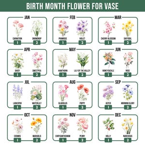 May include: A chart titled "Birth Month Flower for Vase" displays floral illustrations for each month. Each month features two flowers, such as Carnation and Snowdrop for January, and Cosmos and Marigold for October. The chart is designed for decorative purposes.