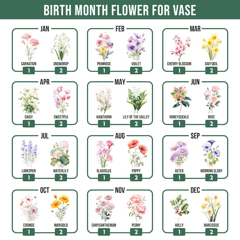 May include: A chart titled "Birth Month Flower for Vase" displays floral illustrations for each month. Each month features two flowers, such as Carnation and Snowdrop for January, and Cosmos and Marigold for October. The chart is designed for decorative purposes.