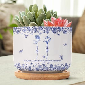 Könnte beinhalten: Weißer Keramik-Blumentopf mit blauen Blumen- und Insektenillustrationen, darunter Schmetterlinge und Bienen. Der Topf trägt die Namen "Donna" und "Sophia" und das Zitat "IT TAKES A LONG TIME TO GROW OLD FRIENDS". Er enthält eine Sukkulente und eine rote Blume.