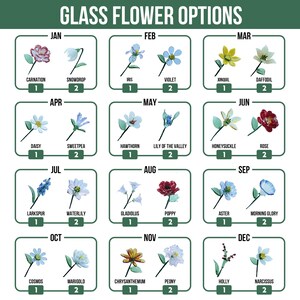 May include: A chart titled "GLASS FLOWER OPTIONS" displays 12 months, each with two glass flower options. The flowers include Carnation, Snowdrop, Iris, Violet, Jonquil, Daffodil, Daisy, Sweetpea, Hawthorn, Lily of the Valley, Honeysuckle, Rose, Larkspur, Waterlily, Gladiolus, Poppy, Aster, Morning Glory, Cosmos, Marigold, Chrysanthemum, Peony, Holly, and Narcissus.