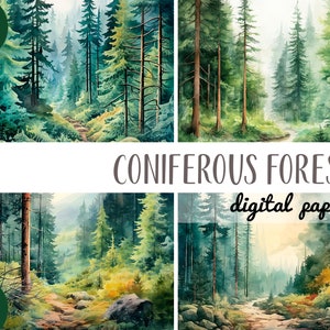 Watercolor coniferous forest clipart - needles, spruce digital paper - woodland green background JPG - wood, trees, sun nature sublimation