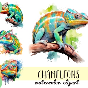 Watercolor realistic chameleons clipart - cute reptiles PNG - bright tropical lizard digital art - pet illustration  - chameleon sublimation