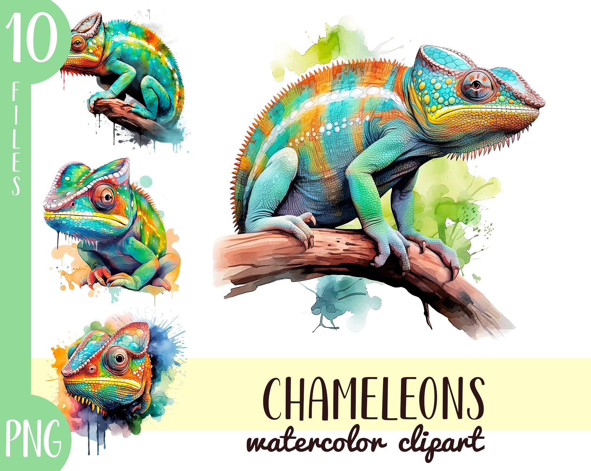 Baby Chameleon Reptile PNG Clipart, Transparent Animal Lover Print Kids  Clip Art, Cute Cartoon Design, DIY Printable Sublimation T-shirt,mug 