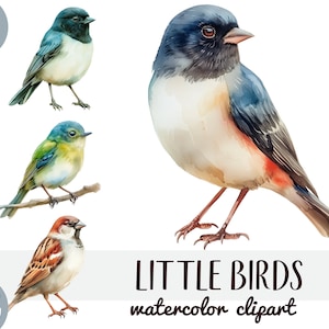 Clipart aquarelle de petits oiseaux - illustration de portrait d'oiseau PNG - rossignol, mésange, moineau, troglodyte mignon, rouge-gorge, étourneau sansonnet, muguet, tarin