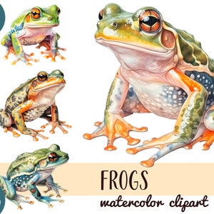 Aquarelle réaliste grenouilles clipart - amphibiens mignons PNG - art numérique lumineux grenouilles tropicales - sublimation illustration-grenouille beaux crapauds