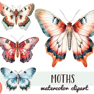 Aquarell Motten Clipart - schöner Schmetterling PNG - Entomologie Illustrationen - Mystische Motte Digitalbild - Scrapbook, Junk Journal