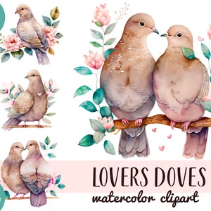 Imágenes prediseñadas de palomas amantes de la acuarela - arte digital de tortolitos - sublimación de un par de palomas - ilustraciones del día de San Valentín - pareja de pájaros PNG
