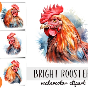 Clipart di galli dell'acquerello - ritratto di un gallo carta digitale-animali da fattoria, sublimazione del pollame JPG - illustrazioni murali ad acquerello