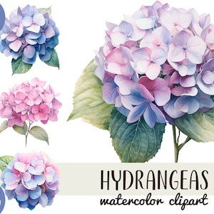 Clipart dell'ortensia dell'acquerello - fiori di nozze primaverili - grafica delicata - sublimazione digitale dell'ortensia lilla - illustrazione botanica PNG