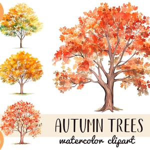Aquarel herfst bomen clipart - houten clip ar - gele, oranje bladeren - oogstsublimatie - digitale aquarel - natuurafbeeldingen, natuurafbeeldingen png PNGEgg
