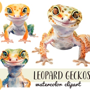 Watercolor realistic leopard geckos clipart - cute reptiles PNG - bright tropical lizard digital art - pet illustration  - gecko sublimation