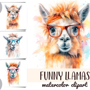 Lamas rigolos à l'aquarelle avec des lunettes clipart - papier numérique pour portrait de lama - sublimation d'animaux mignons - sourires de lama JPG - chameau, alpaga