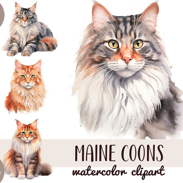 Watercolor maine coons clipart - realistic cats digital watercolor - cat sublimation PNG - cute kitty - cat breeds graphic - pet portraits