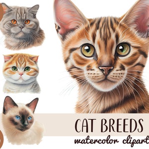 Watercolor cat breeds clipart - realistic cats digital watercolor - cat sublimation PNG - cute kitty - Scottish, Abyssinian - pet portraits