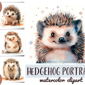 Clipart hérisson aquarelle - joli portrait de hérisson jpg - papier numérique animal de la forêt - illustration JPG de hérisson - animaux réalistes