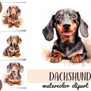 Clipart di bassotti ad acquerello - carta digitale di bassotti carini - ritratto di un cane in sublimazione - illustrazioni di animali domestici JPG - grafica di cani di piccola taglia