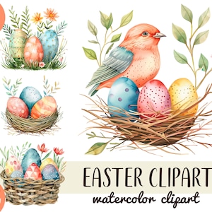 Aquarel pasen Clipart - kleurrijke paaseieren png - lente pastel grafisch - twicker basket sublimatie PNG - vogels en bloemen