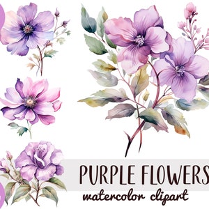 Imágenes prediseñadas de flores púrpuras de acuarela - sublimación floral lila pastel - flor realista PNG - ilustraciones botánicas - gráfico de plantas