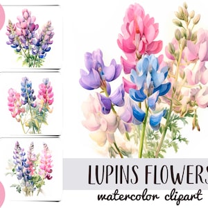 Clipart di fiori ad acquerello lupini - carta digitale di fiori lilla e rosa - bouquet di lupini sublimazione - bellissimi fiori selvatici JPG