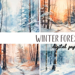Aquarel winterbos clipart - natuurlijk landschap digitaal papier - zonnige winterdag JPG - pad in het bos - bomen, sneeuwillustraties