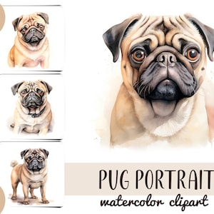 Clipart di carlini dell'acquerello - carta digitale cane carlino carino - ritratto di una sublimazione del cane - illustrazioni di animali domestici JPG - grafica di cani di piccola taglia