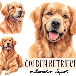 Clipart labrador acquerello - carta digitale carina Golden retriever - ritratto di un cane sublimazione - illustrazioni di animali domestici PNG - grafica dei cani