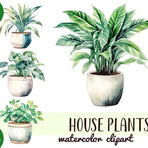 Imágenes prediseñadas de plantas de interior en acuarela - sublimación de decoración floral para el hogar - plantas de interior en macetas PNG - vegetación, gráfico de jardín - Junk Journal