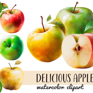 Clipart de maçãs em aquarela - frutas deliciosas PNG - arte digital de frutas saborosas - ilustração de jardim - sublimação frutada - maçã vermelha, verde, amarela