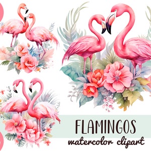 Acuarela pareja de flamencos clipart - ilustración de flamencos PNG - flores rosas y pájaros sublimación gráfica-composición de animales tropicales