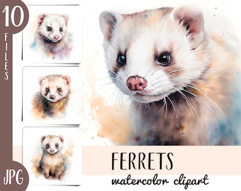 Watercolor ferrets clipart - cute ferret portrait jpg - pets digital paper - marten, weasel, fretter JPG illustration - realistic animals