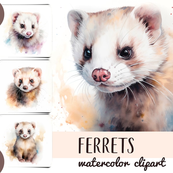 Watercolor ferrets clipart - cute ferret portrait jpg - pets digital paper - marten, weasel, fretter JPG illustration - realistic animals