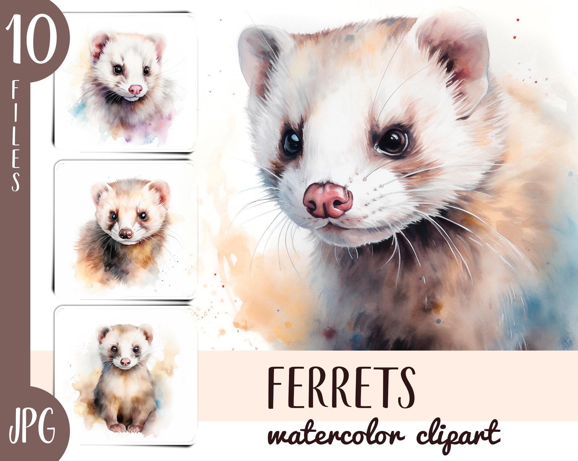 Watercolor Ferrets Clipart Cute Ferret Portrait Jpg Pets - Etsy