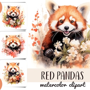 Aquarel schattige rode panda's clipart - panda met bloemen digitaal papier - bloemen rode panda portret sublimatie JPG-illustratie met dieren