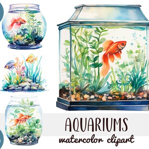 水彩水族館クリップアート - 水族館熱帯魚イラスト - 水族館、金魚、雄鶏の魚のグラフィック - 趣味、ペット PNG