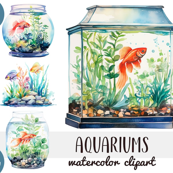 Watercolor aquariums clipart - aquarium tropical fish illustrations - aquariums, goldfish, cockerel fish graphic - hobbies, pets PNG