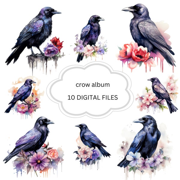 Crow Floral, Clipart, 10 HQ JPG PNG Transparent Backgr., Nursery Art, Little, Watercolor, Animal art print,kids wall art,baby animal prints