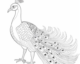 Peacocks, digital download, coloring pages, henna mandala