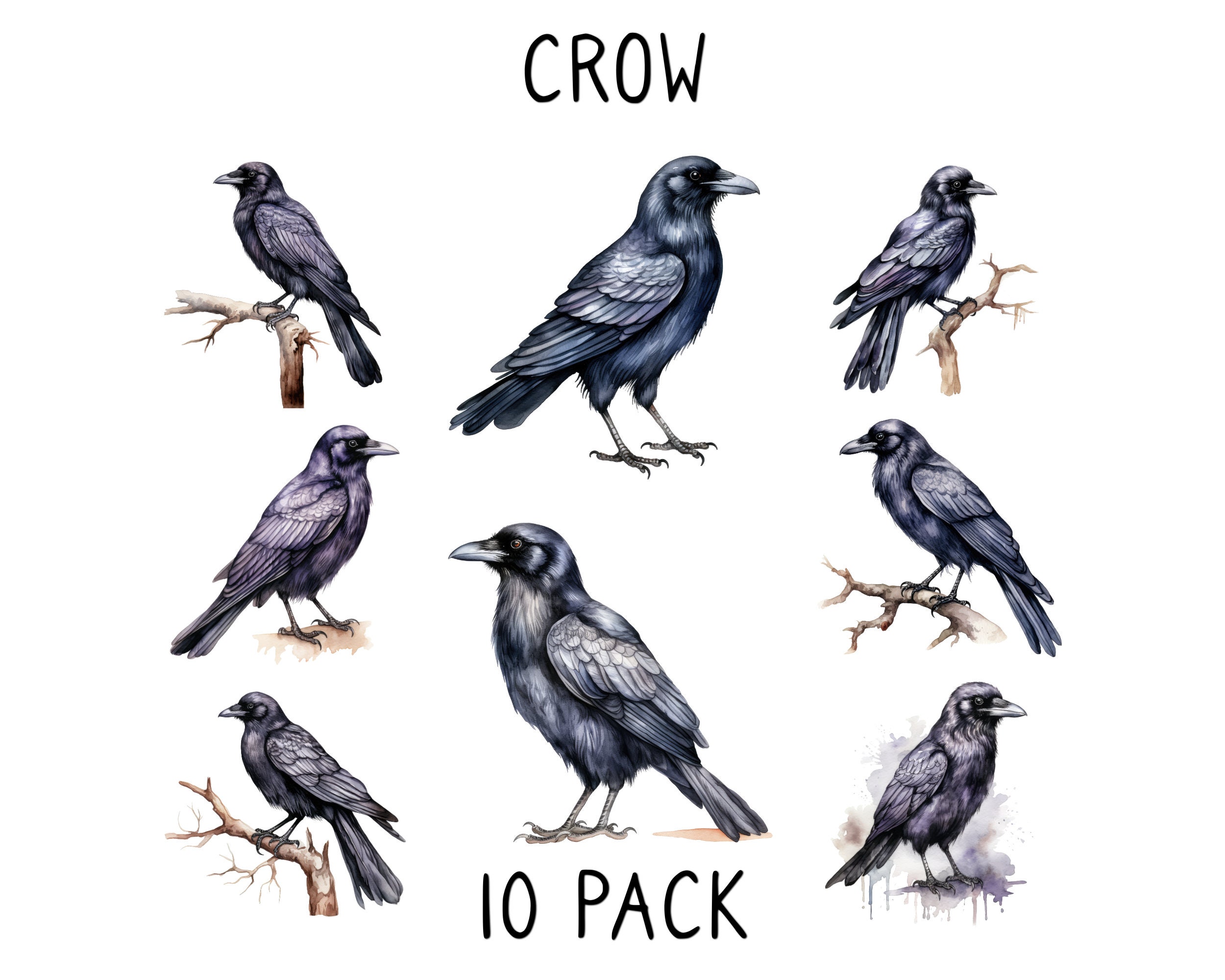 Spooky Gothic Raven Clipart Watercolor Clipart Halloween Etsy spooky-gothic-raven-clipart-watercolor-clipart-halloween-etsy