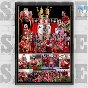 2024_25 Silverball 2024_25 Trikot oder Trophäe Print / Poster / gerahmtes Memorabilie / Sammlerstück / Geschenk