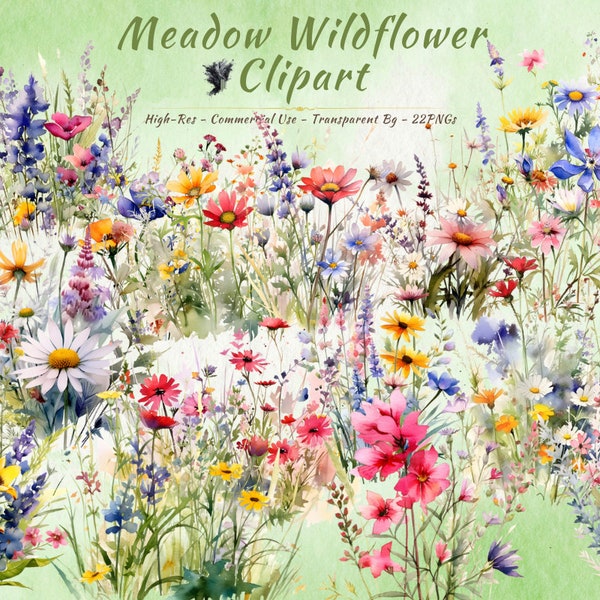 Meadow Wildflower PNG Collection | Flower, Botanical Clipart | Summer Floral Art