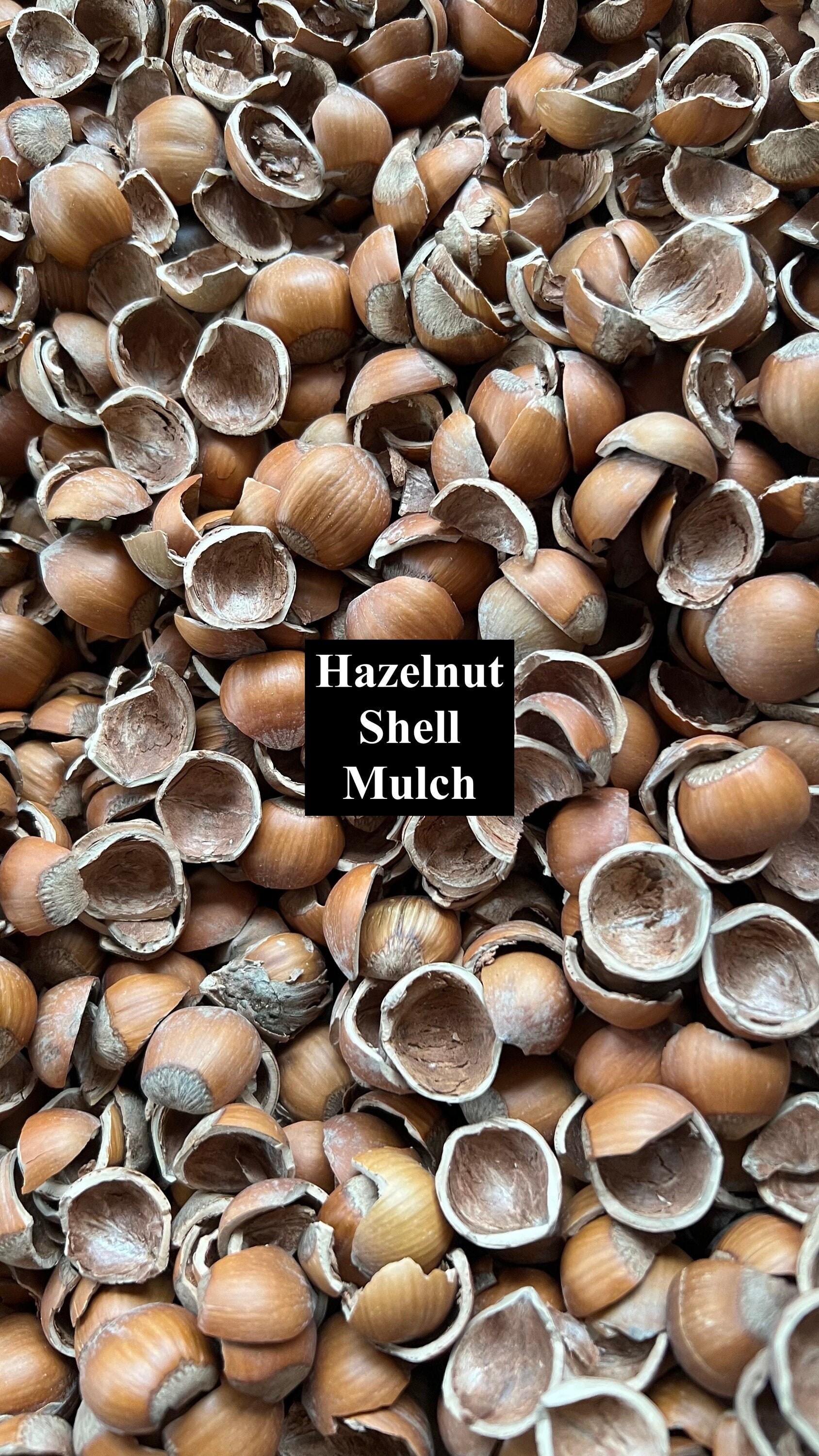 Hazelnut Shell Mulch House Plants Outdoor Potted Plants Etsy
