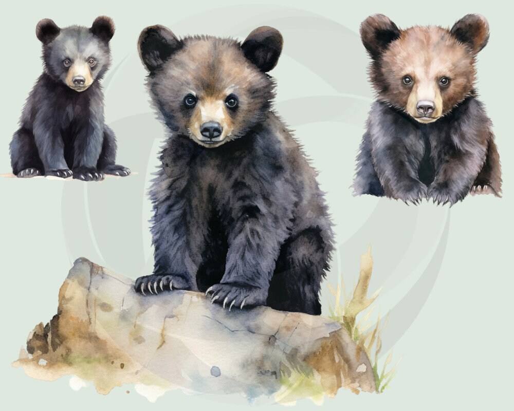 Watercolor Woodland Animals Clipart, Bear Cubs, Baby Animals Clipart ...