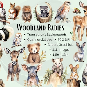 Watercolor Woodland Animals Clipart, Woodland Babies, Baby Animals Clipart, Nursery Clipart, Transparent PNG, Watercolor Animals - Comm. Use