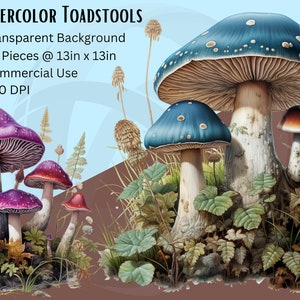 Clipart champignon aquarelle, clipart forêt aquarelle, clipart fantastique, champignon vénéneux, modèles Clipart nature, PNG transparent, comm. Utilisation