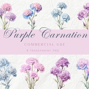 水彩の紫と青のカーネーションのクリップアート パック、パステル調の花のクリップアート、ソフトカラーの花のイラスト、文房具のクリップアート、商用利用