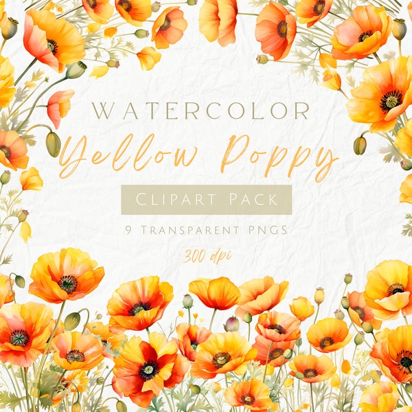 Watercolor Yellow Poppy Clipart, California Poppies, Spring Flower, Yellow Wildflower, August Birth Flower, Commercial Use, Transparent PNG