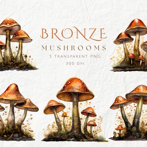 May include: Five digital illustrations of bronze mushrooms with brown spots and stems. The mushrooms are arranged in groups of three and two, with some smaller mushrooms growing around the larger ones. The mushrooms are set against a white background.