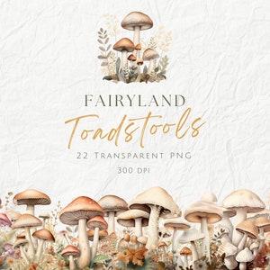 Pack de cliparts féeriques champignons vénéneux, champignons sauvages enchantés magiques, champignons féeriques, cliparts de papeterie fantastique Woodlands, usage Commercial